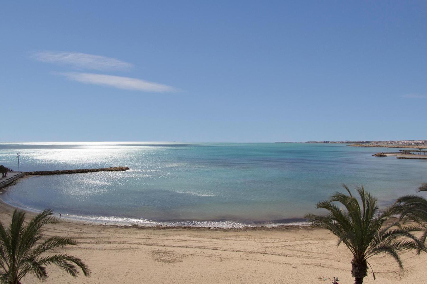 Homely Apartments Royal Torrevieja Exterior foto